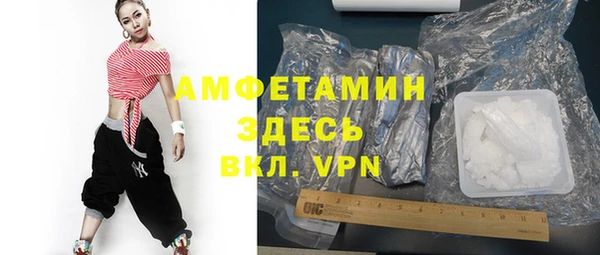 твердый Арсеньев