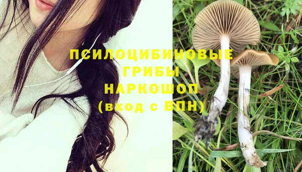 ГАЛЛЮЦИНОГЕННЫЕ ГРИБЫ Аркадак