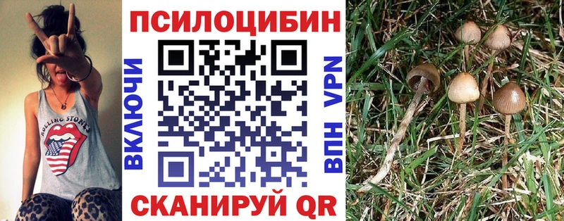 Псилоцибиновые грибы Psilocybine cubensis  Рузаевка 